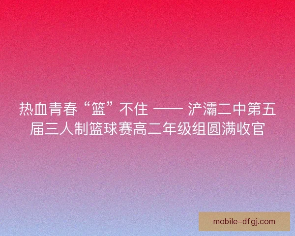 热血青春 “篮” 不住 —— 浐灞二中第五届三人制篮球赛高二年级组圆满收官