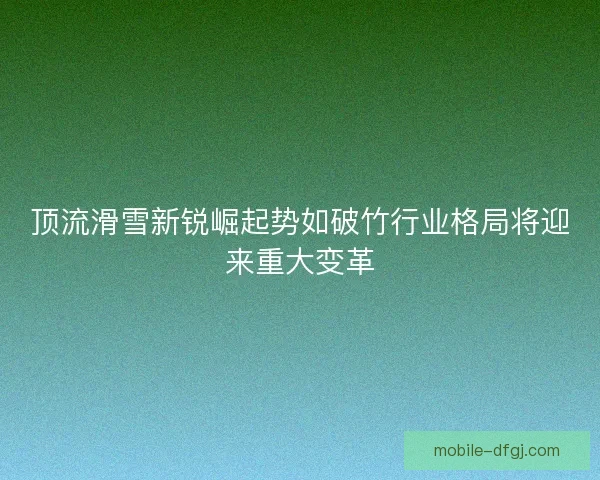 顶流滑雪新锐崛起势如破竹行业格局将迎来重大变革